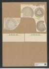Aulacodiscus schmidtii A. Schm.Witt. (de-Toni-Nr.: Genus 182, Species 4521) Zeichnungen Sammlung Grunow Nr. 8110 (NHMW-BOT-W0377454)